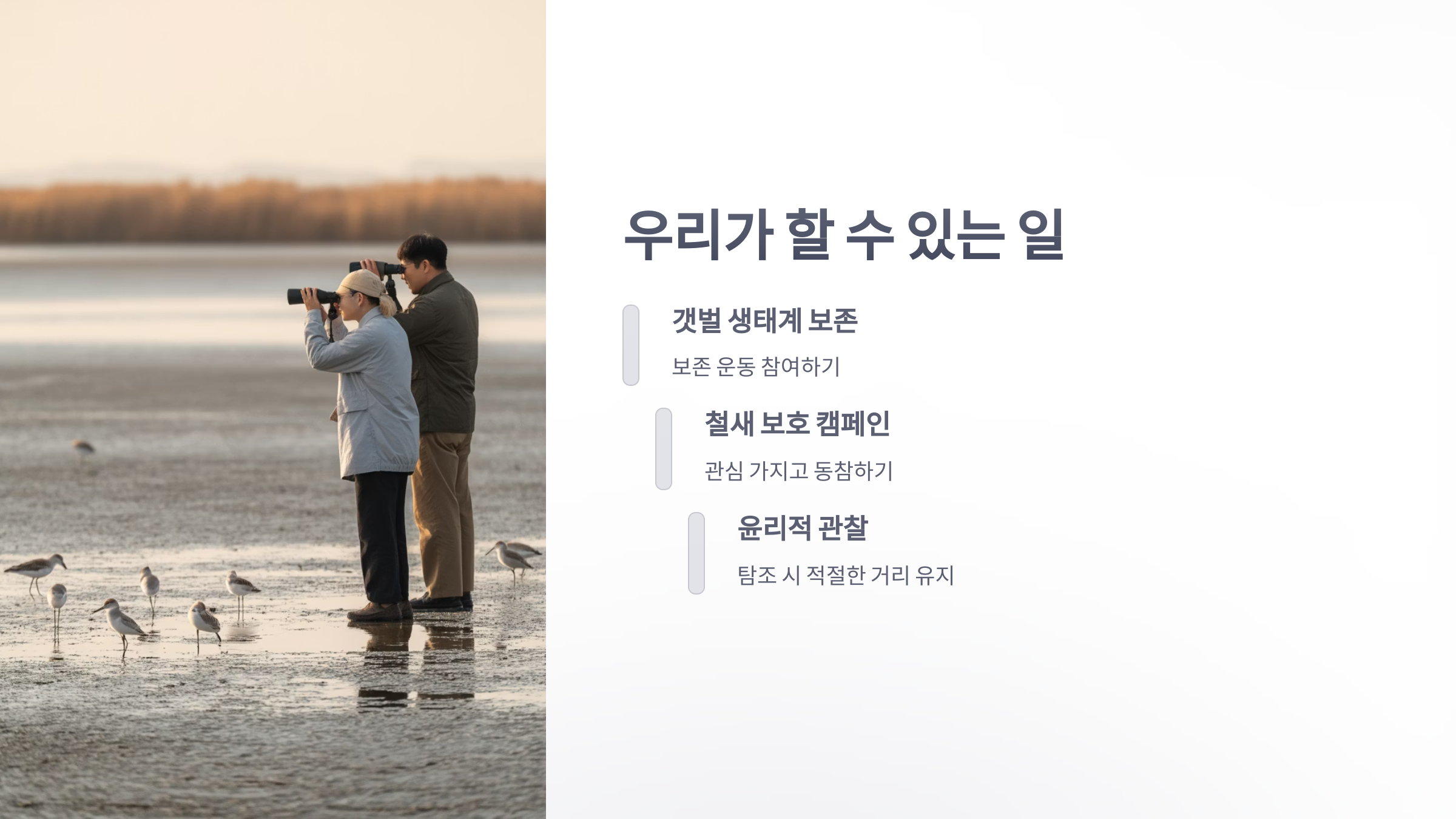 참조-붉은어깨도요-6