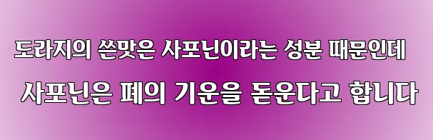 도라지의 쓴맛은 사포닌이라는 성분 때문인데 사포닌은 폐의 기운을 돋운다고 합니다