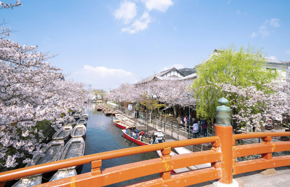야나가와의 봄풍경 사진