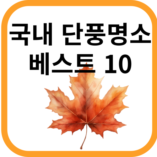 단풍잎