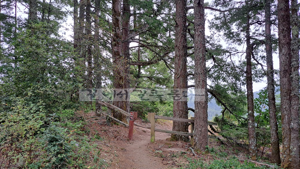 Purisima Creek Redwoods Open Space Preserve
