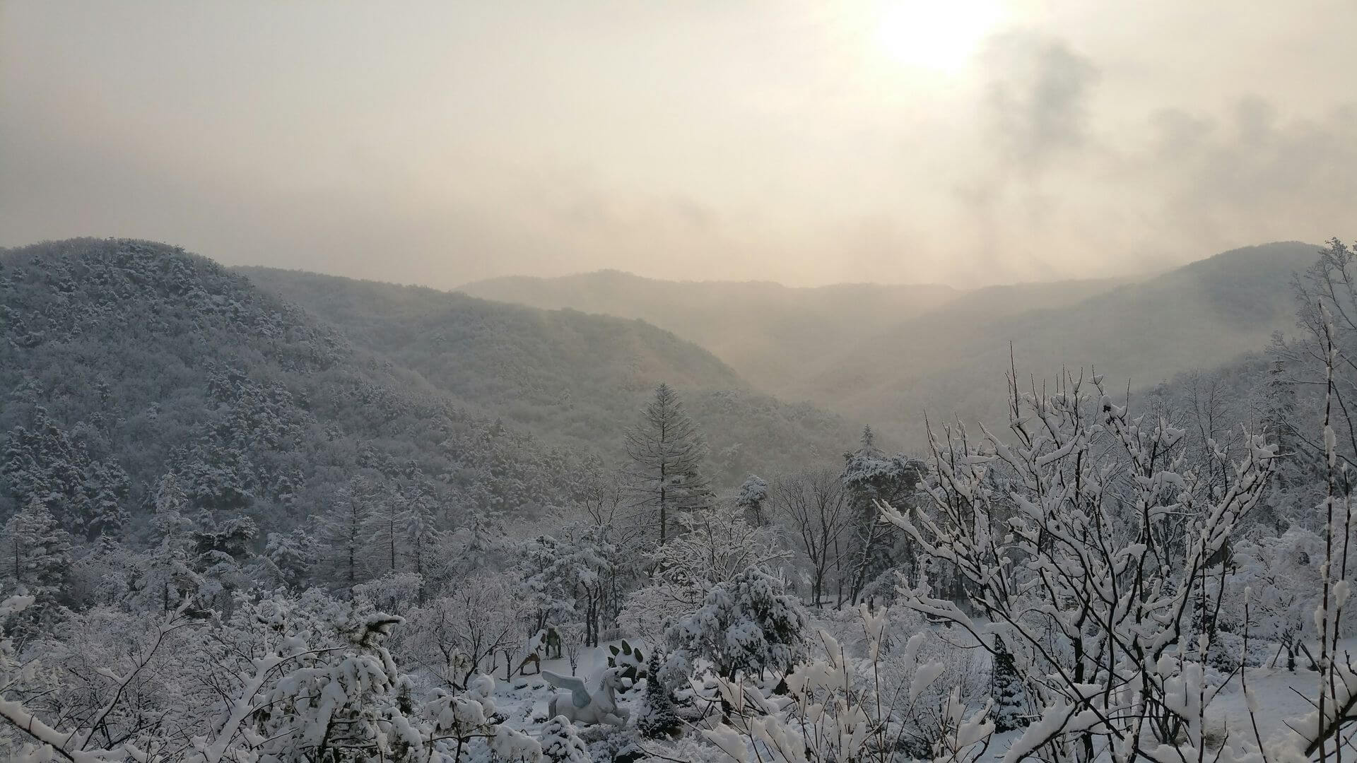 덕평공룡수목원