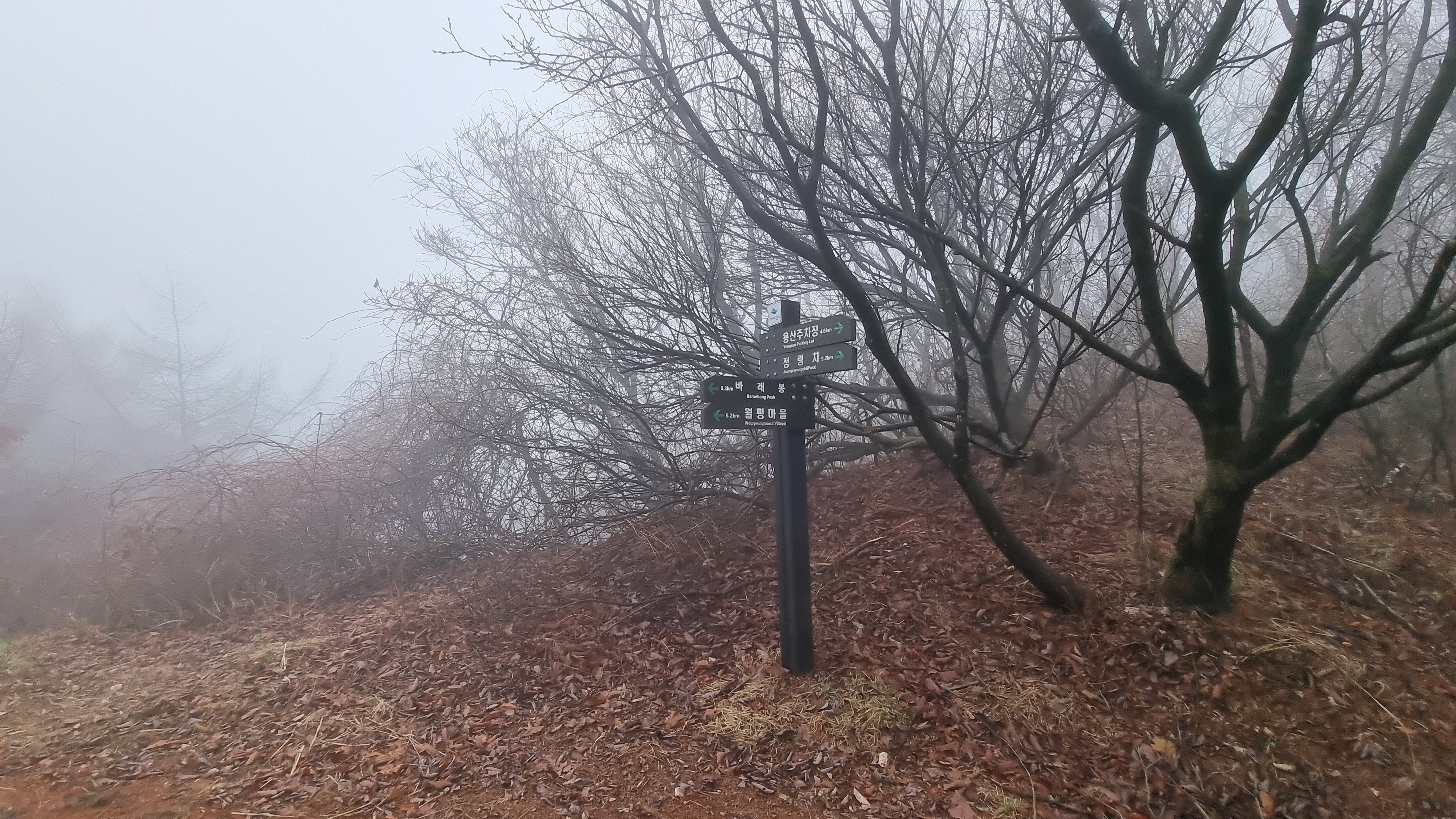 블랙야크 100대 명산, 지리산 바래봉 용산주차장(허브밸리) 원점회귀 최단코스 - BAC100대 명산, 지리산 바래봉 - 🥾 등산시작 블랙야크 100대 명산, 지리산 바래봉 용산주차장(허브밸리) 원점회귀 최단코스 - BAC100대 명산, 지리산 바래봉 - 🥾 등산시작