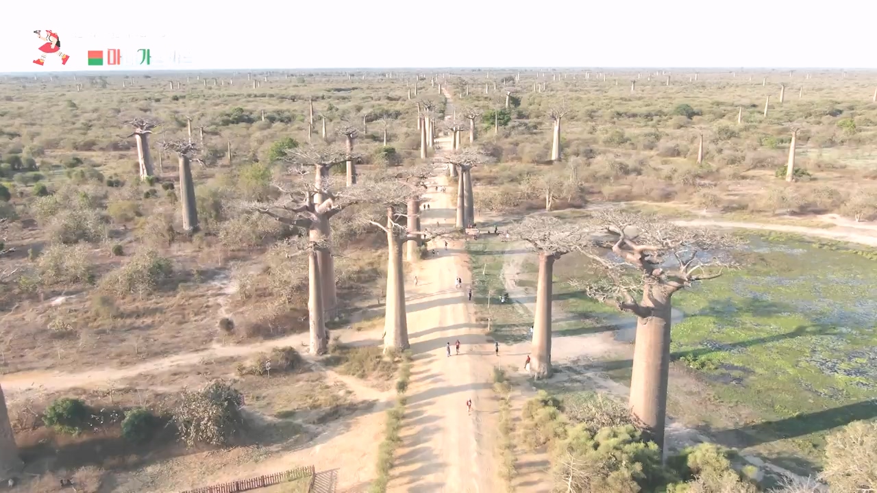 걸어서 세계속으로.E814.231022p-NEXT.mp4_20231022_170320.485.jpg