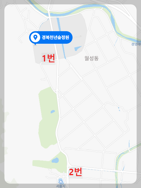 천년숲 이미지