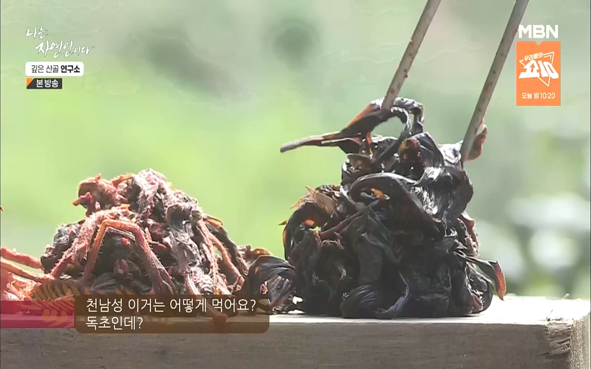 나는 자연인이다.E523.221013p.WANNA.mp4_20221013_201135.827.jpg