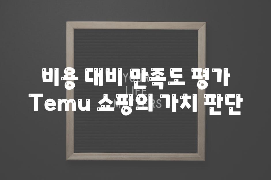 비용 대비 만족도 평가 Temu 쇼핑의 가치 판단