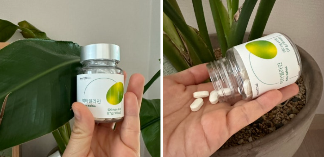 모어트루 악타멜라인 내돈내산
