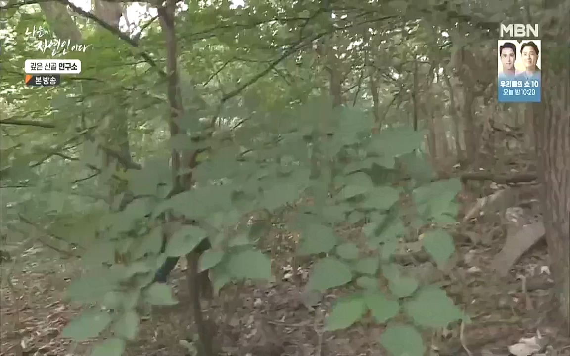 나는 자연인이다.E523.221013p.WANNA.mp4_20221013_201129.201.jpg