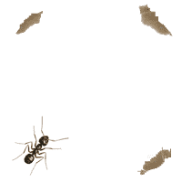 주요 단어 유래 개미들의 행진 숫자 영어 노래 주식 노래 【공지】Ants Go Marching 노래 가사 해석 8