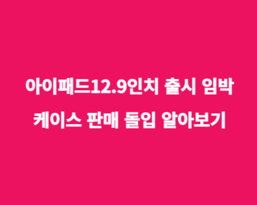 아이패드12.9인치 출시 임박/케이스 판매 돌입 알아보기