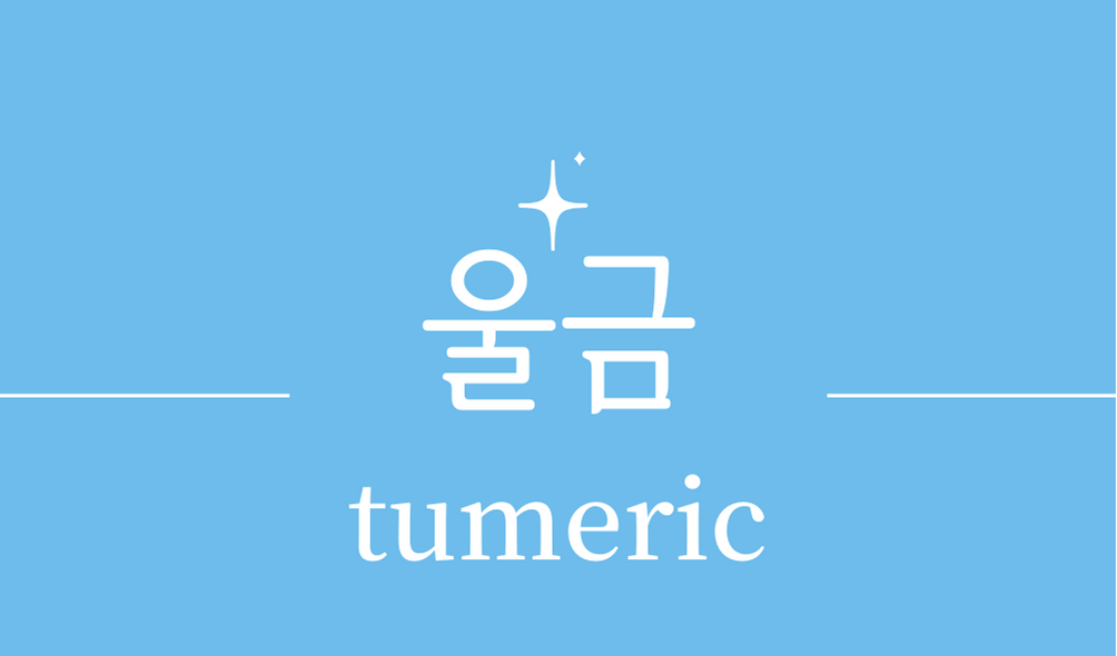 &#39;울금(tumeric)&#39;