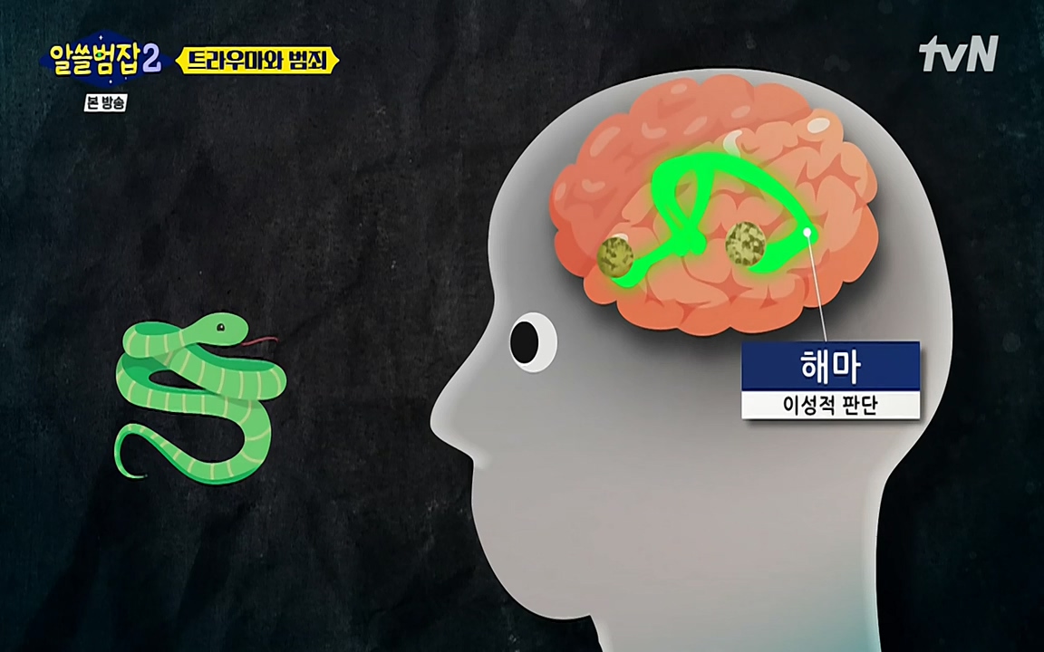 알쓸범잡 2.E11.220321p-NEXT.mp4_20220321_181815.210.jpg