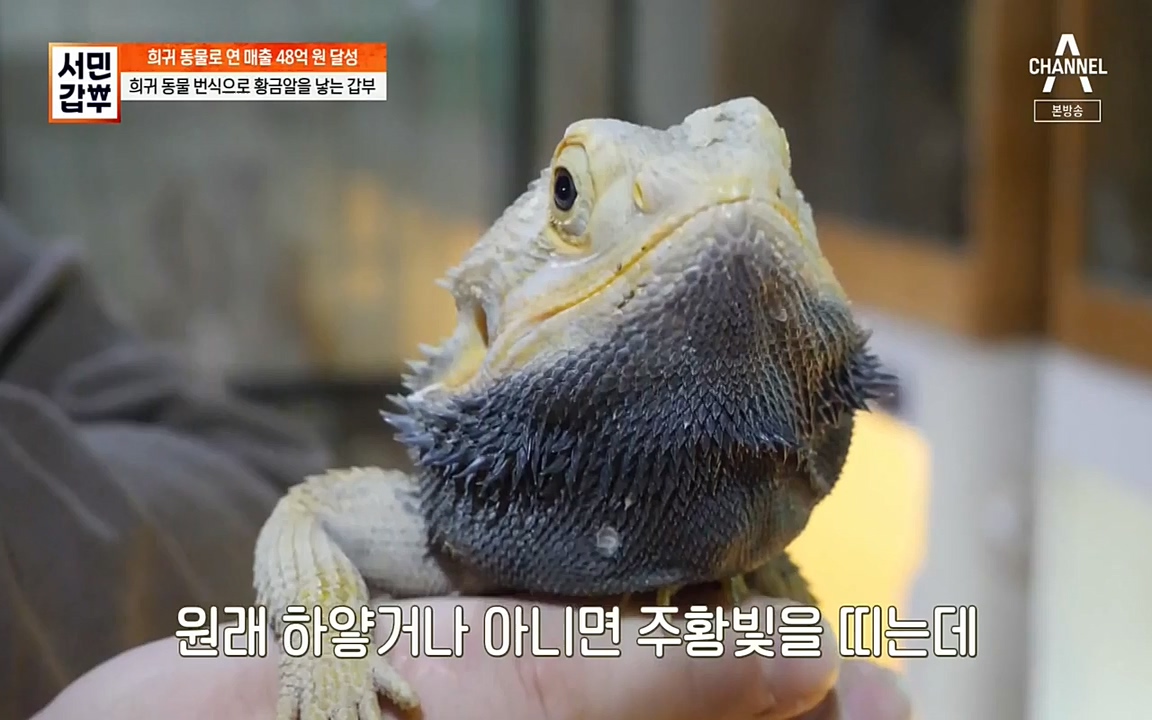 서민 갑부.E381.220431p-NEXT.mp4_20220501_180730.430.jpg