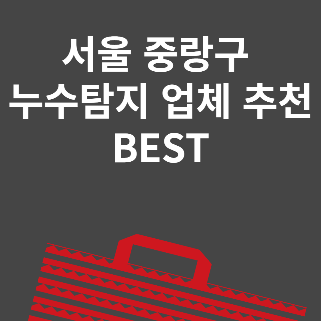 서울 중랑구 누수탐지 업체 추천 Best6ㅣ비용ㅣ누수 보험 블로그 썸내일 사진