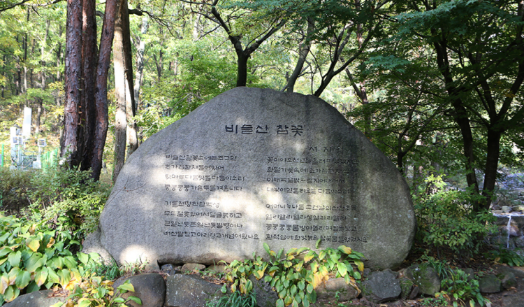 비슬산 등산코스