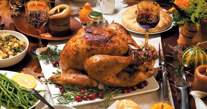  칠면조(Turkey) 체중 감량을 위한 최고의 선택!!