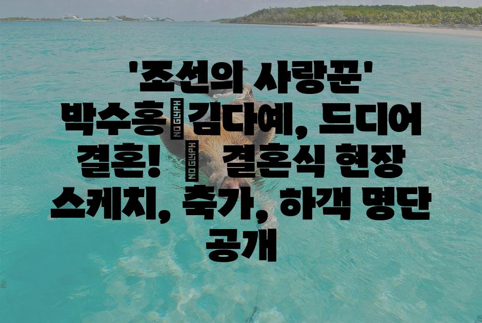 샘플 (1)