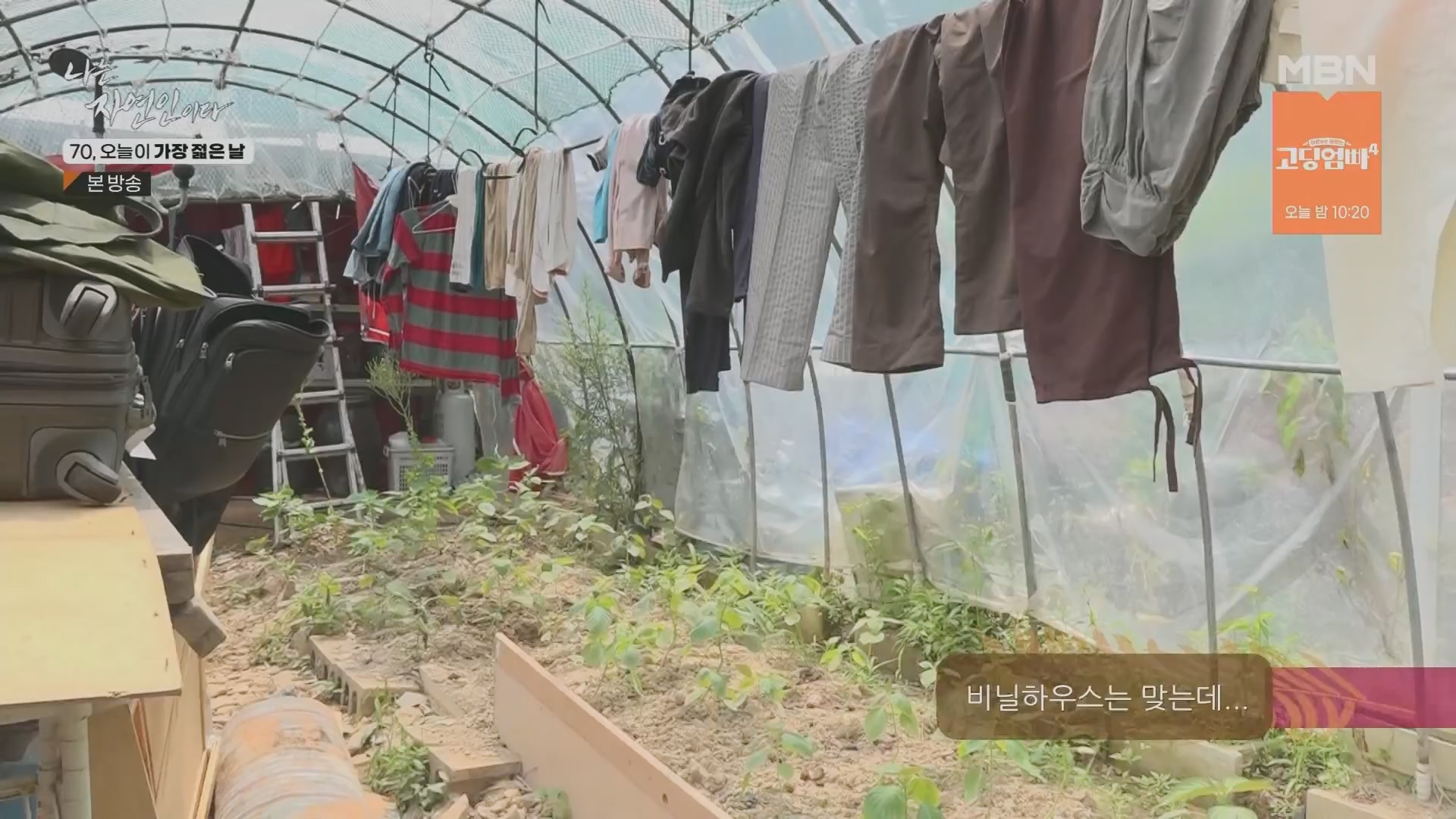 나는 자연인이다.E565.230802p.H264-F1RST.mp4_20230803_203355.883.jpg