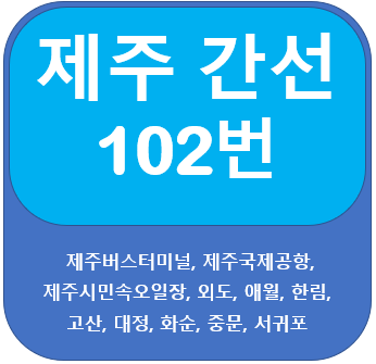  제주 102번 버스 노선 안내(제주버스터미널,제주공항)