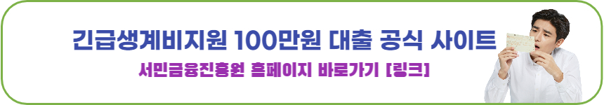 정부 100만원 대출