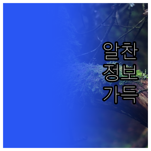 제주 산방산 근처 호텔 5곳 추천 가