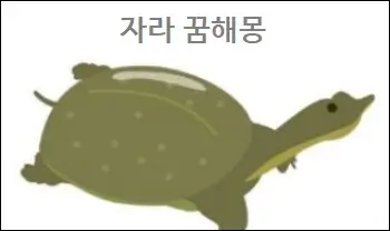 자라 꿈해몽