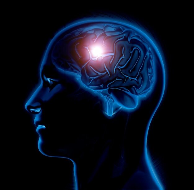 전두엽-이마엽-기억력-사고력-대뇌-연합영역-중전두회-중추신경-감정
