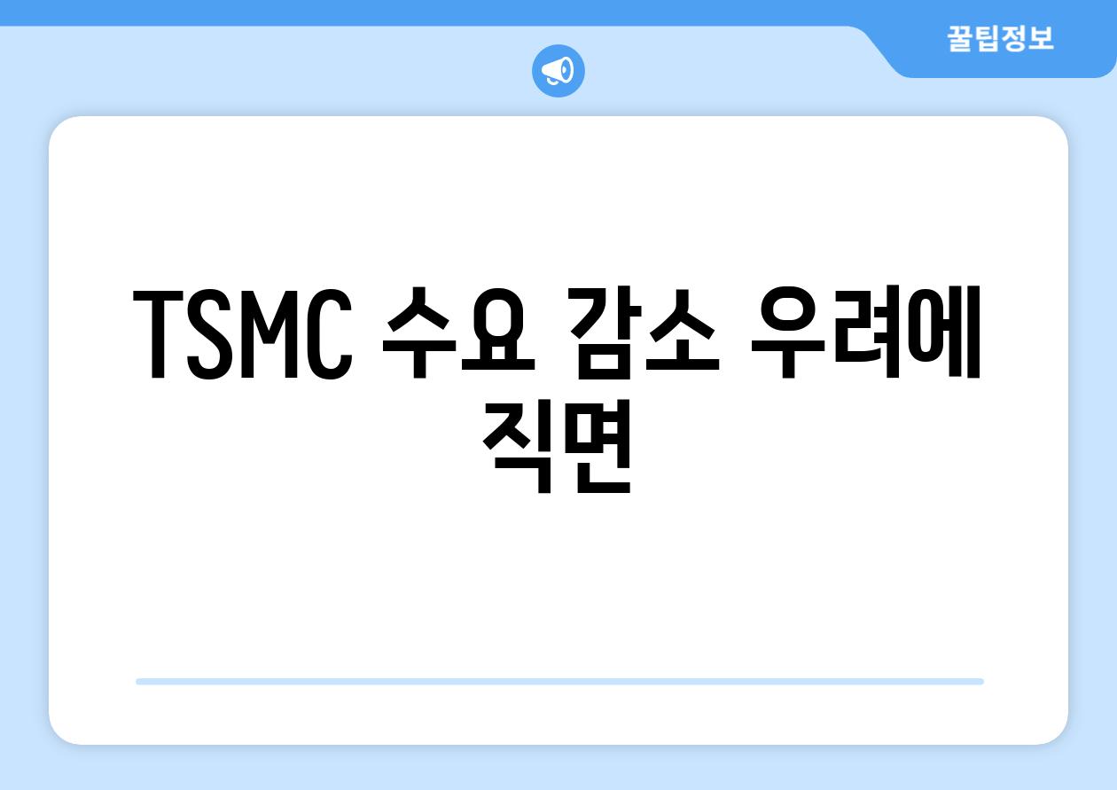 TSMC 수요 감소 우려에 직면