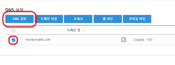 DNS 설정 도메인선택