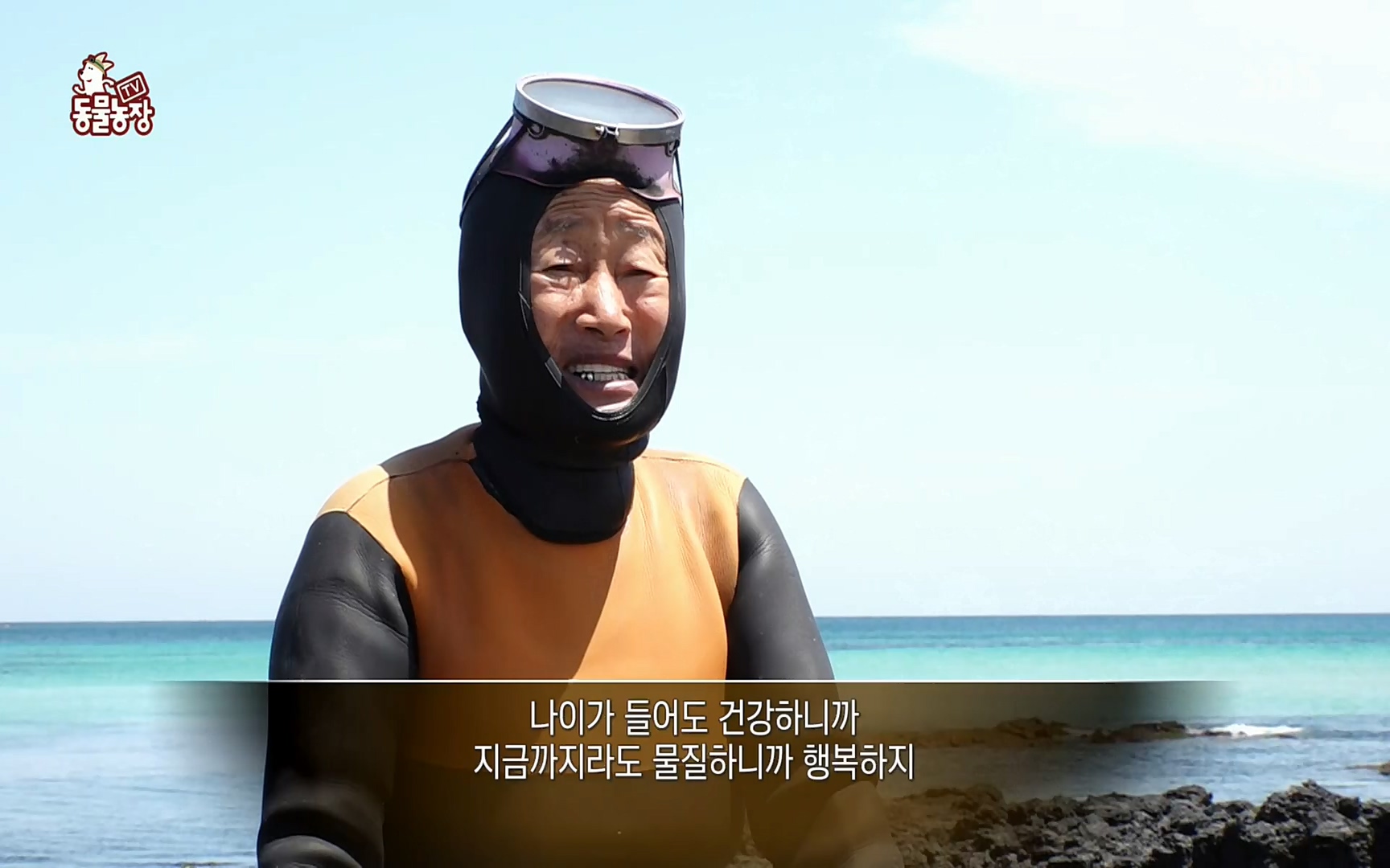 TV 동물농장.E1073.220612p.H264-F1RST.mp4_20220612_181357.339.jpg