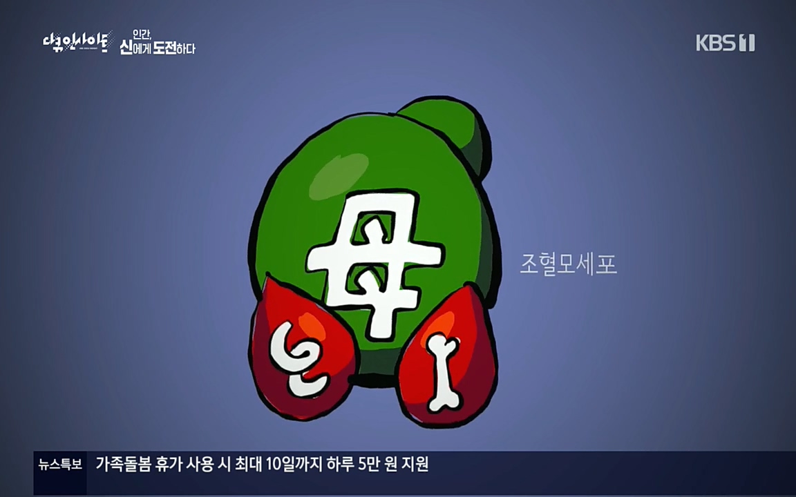 다큐 인사이트.E121.220819p.H264-F1RST.mp4_20220822_174901.723.jpg