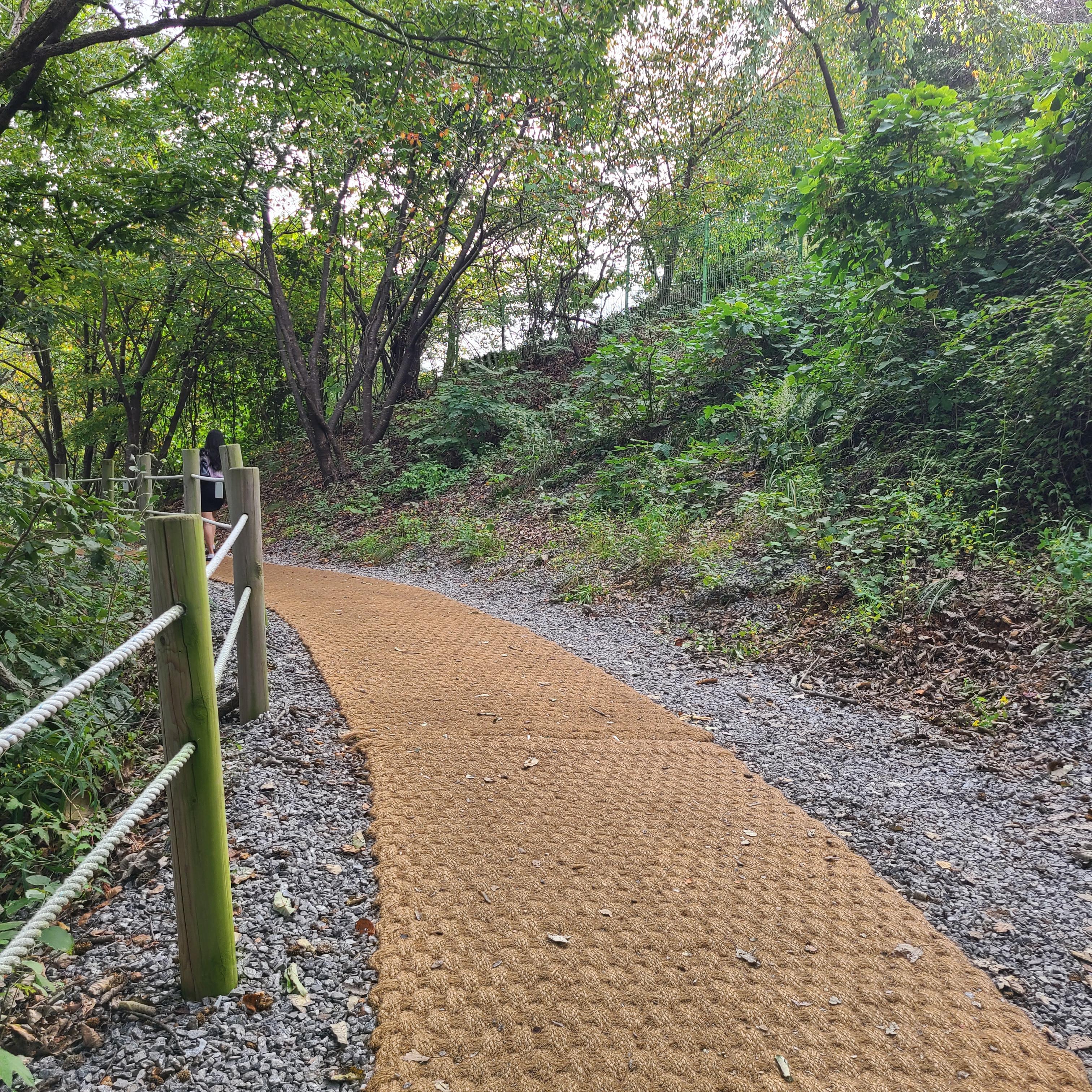 마장호수공원 산책길