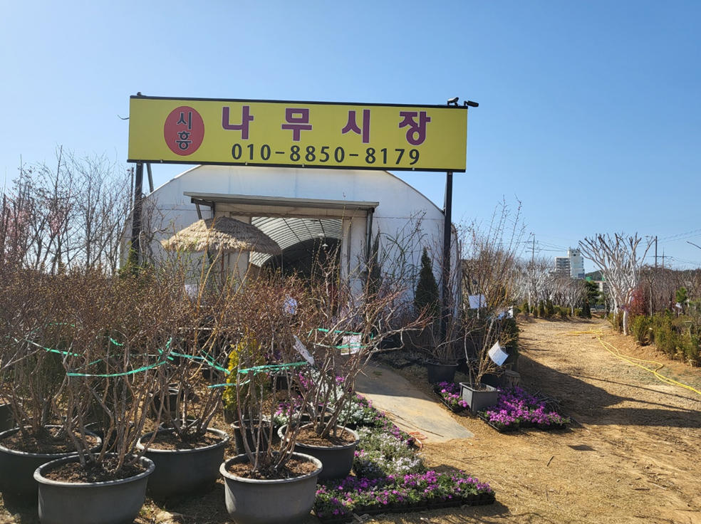 시흥 나무시장- 내나무갖기 전국 산림조합 나무전시판매장 찾기(그루콘)