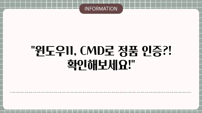 윈도우11 정품인증 cmd