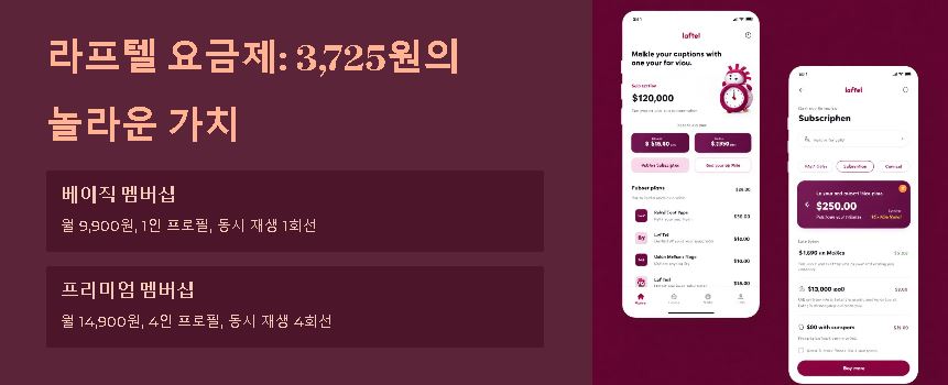 월 요금