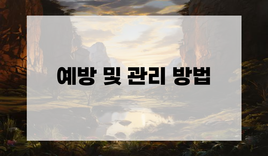 예방 및 관리 방법
