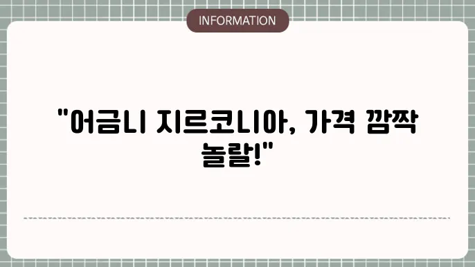 어금니 지르코니아 크라운 가격