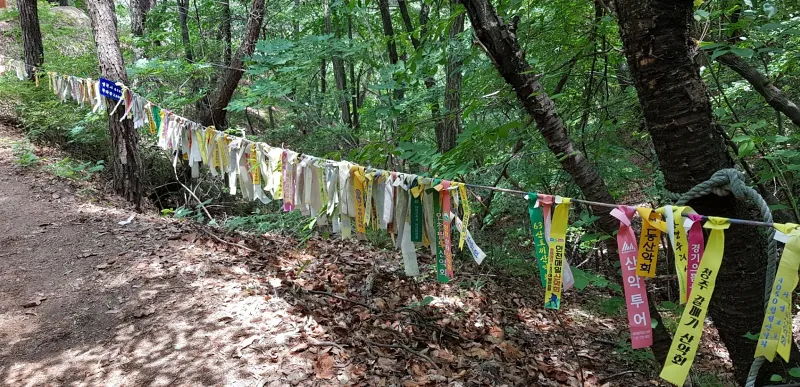 금산 천태산