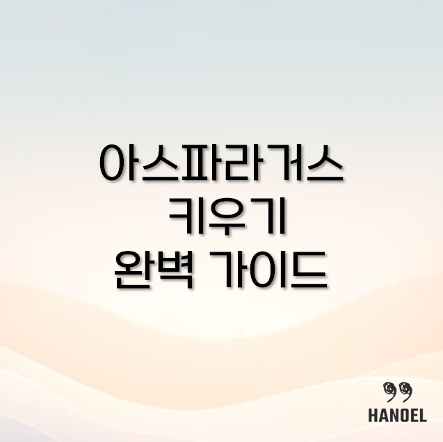 아스파라거스 키우기