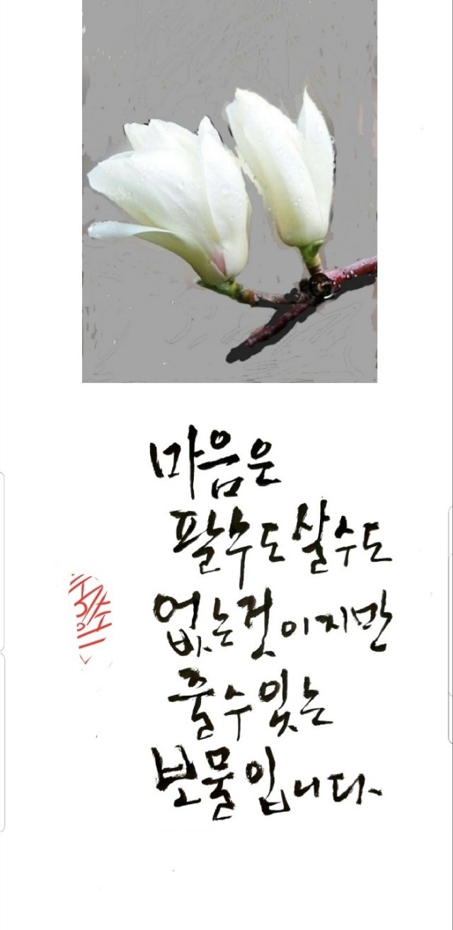 금요일 인사 3