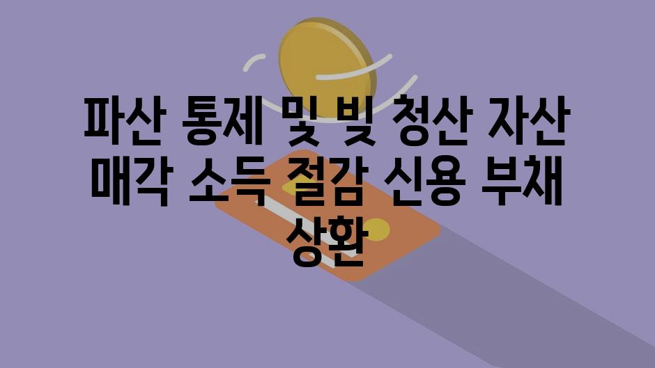 파산 통제 및 빚 청산 자산 매각 소득 절감 신용 부채 상환