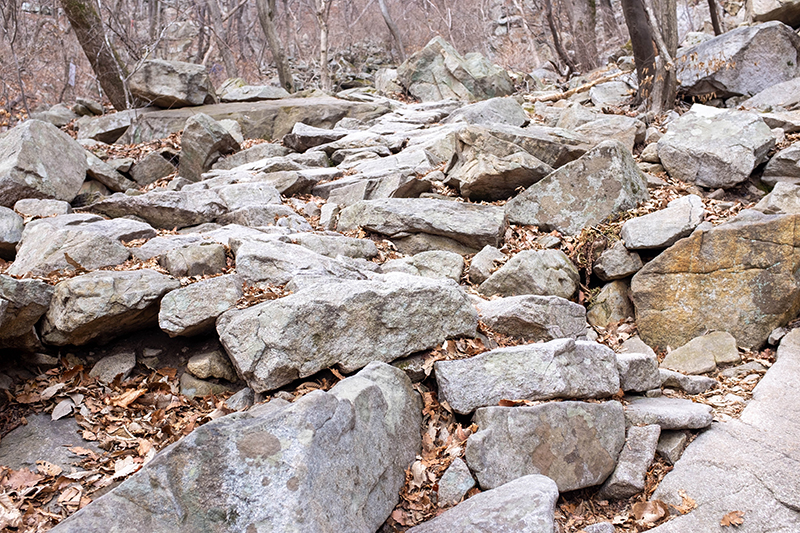 계룡산 동학사 코스 등산로. 돌이 매우 많은 돌 길이다.