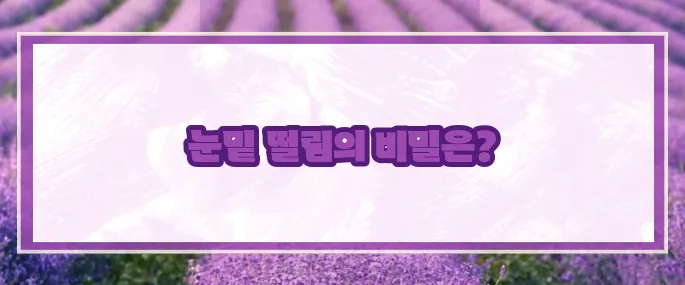 눈밑이 떨리는 증상 (+원인과 해결법)