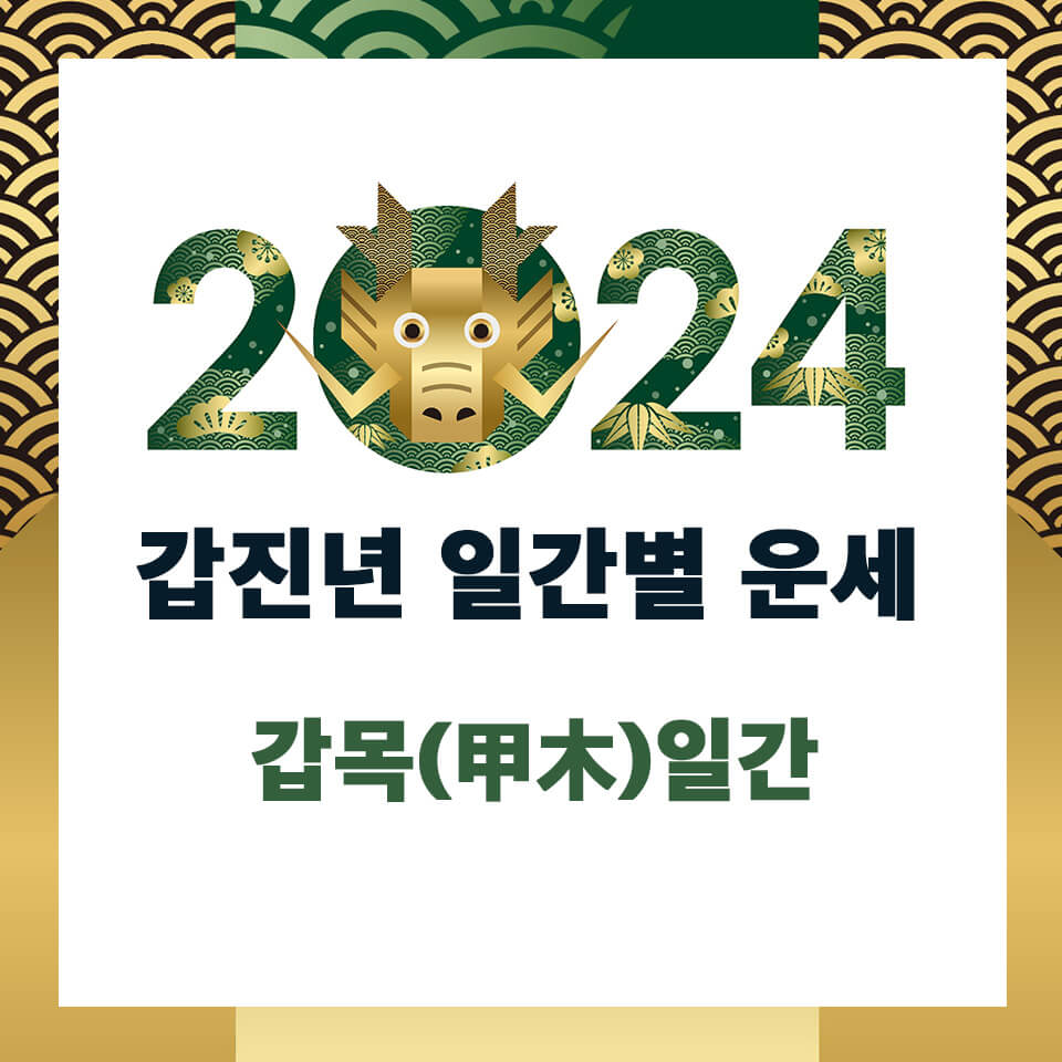 2024년 갑목일간 운세