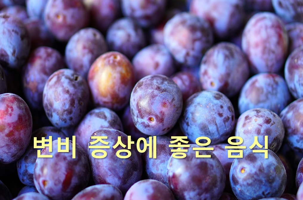  변비에 증상에 좋은 음식으로 키위의 효능