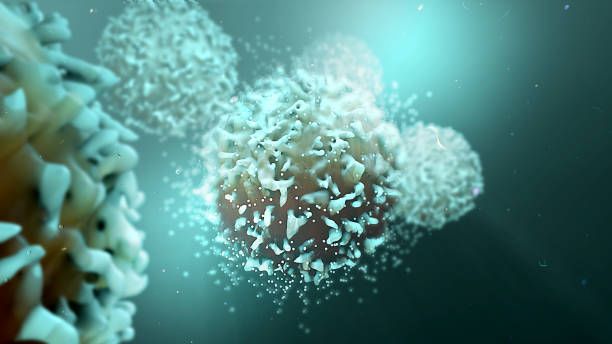Eosinophil 수치