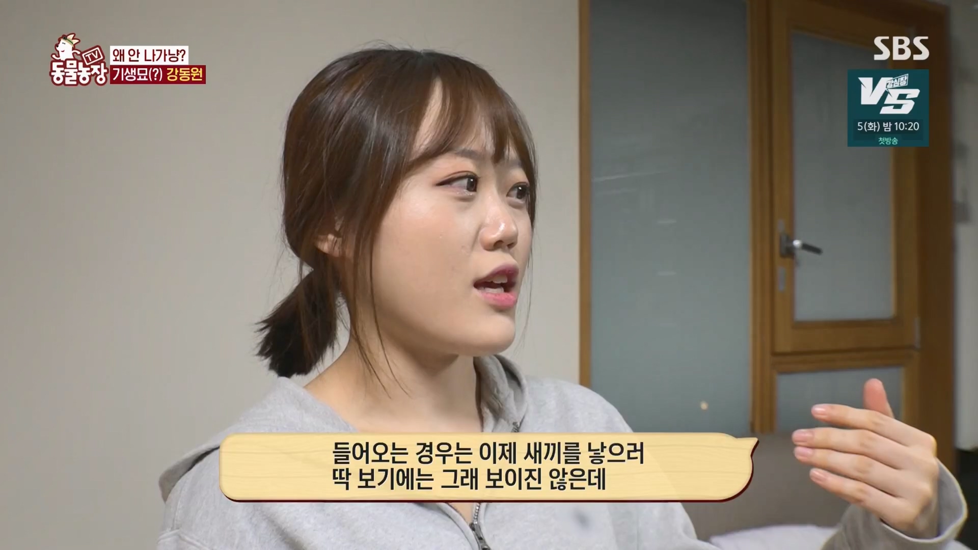 TV 동물농장.E1148.231203p.H264-F1RST.mp4_20231203_165834.393.jpg