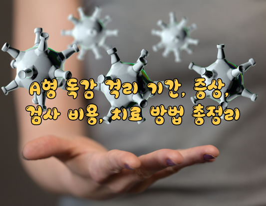 A형 독감 격리 기간&#44; 증상&#44; 검사 비용&#44; 치료 방법 총정리