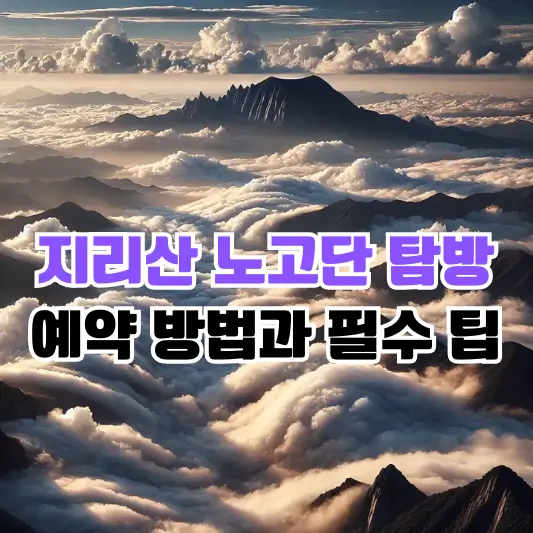 지리산 노고단 탐방 가이드: 예약 방법과 필수 팁